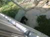 img_2784_small.jpg