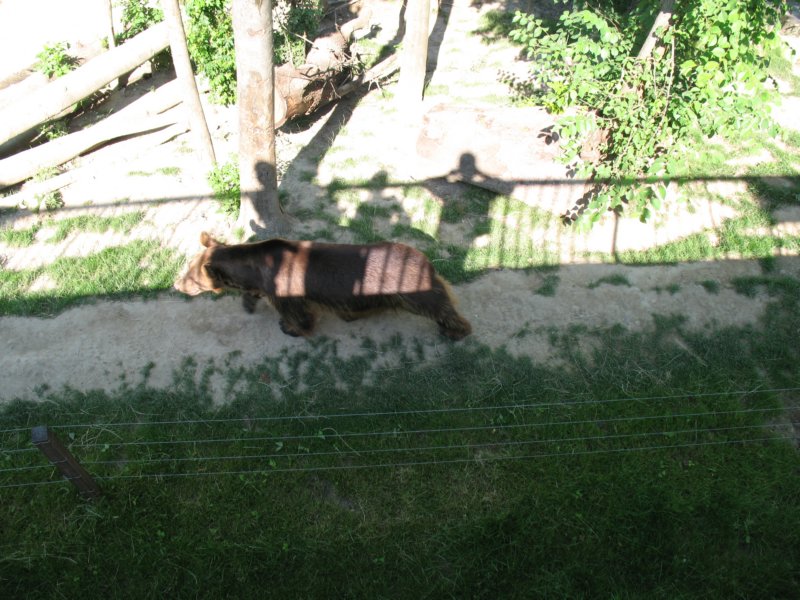 img_2789.jpg