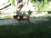 img_2789_small.jpg