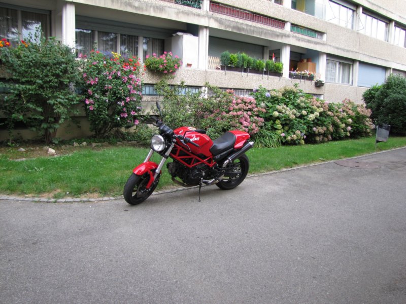ducati695monster.jpg