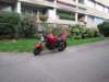 ducati695monster_small.jpg