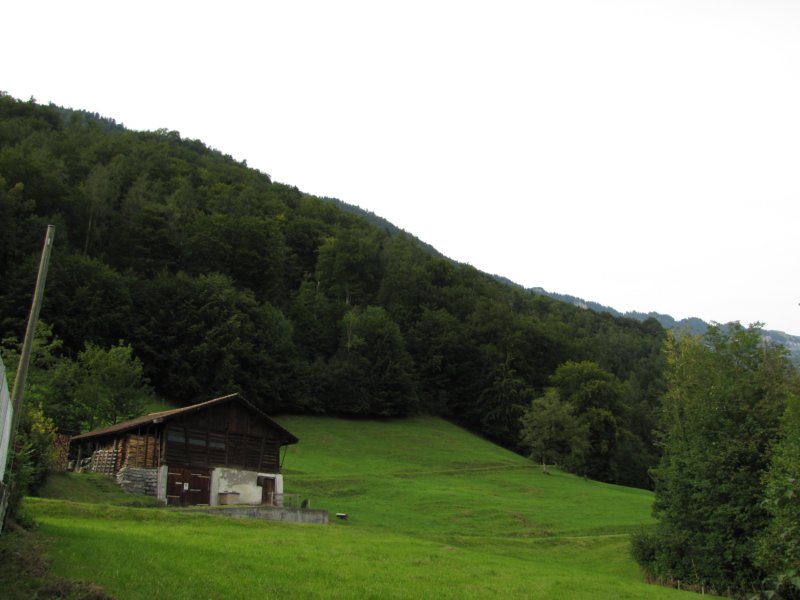img_0713.jpg