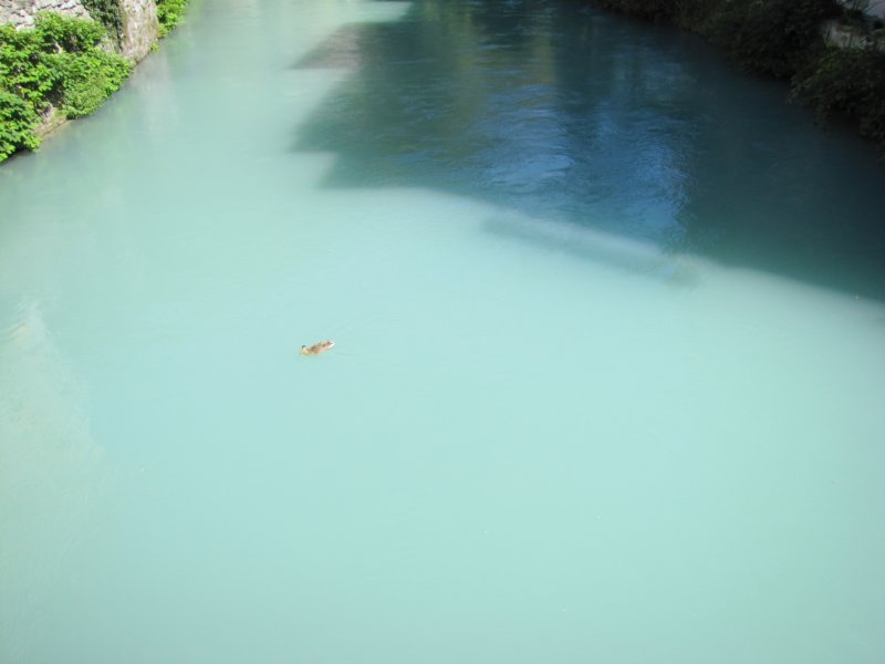 img_0726.jpg