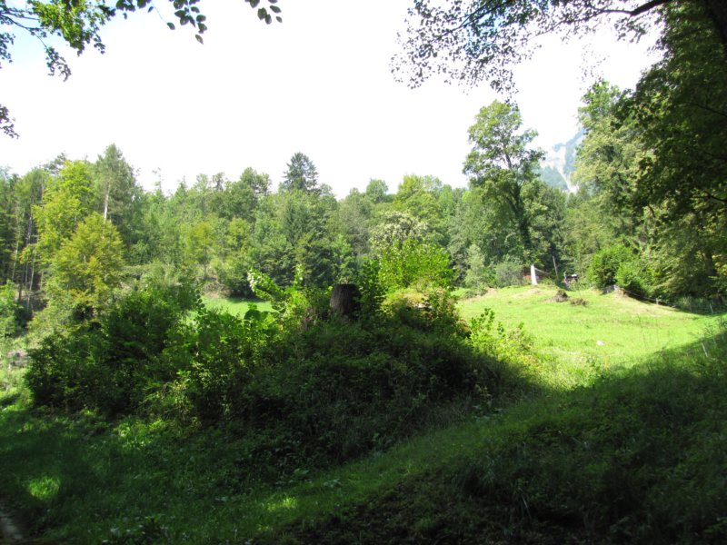 img_0798.jpg