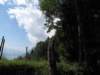 img_0821_small.jpg