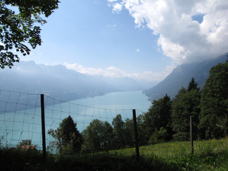 img_0822.jpg