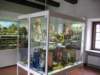 spielzeugmuseum_small.jpg