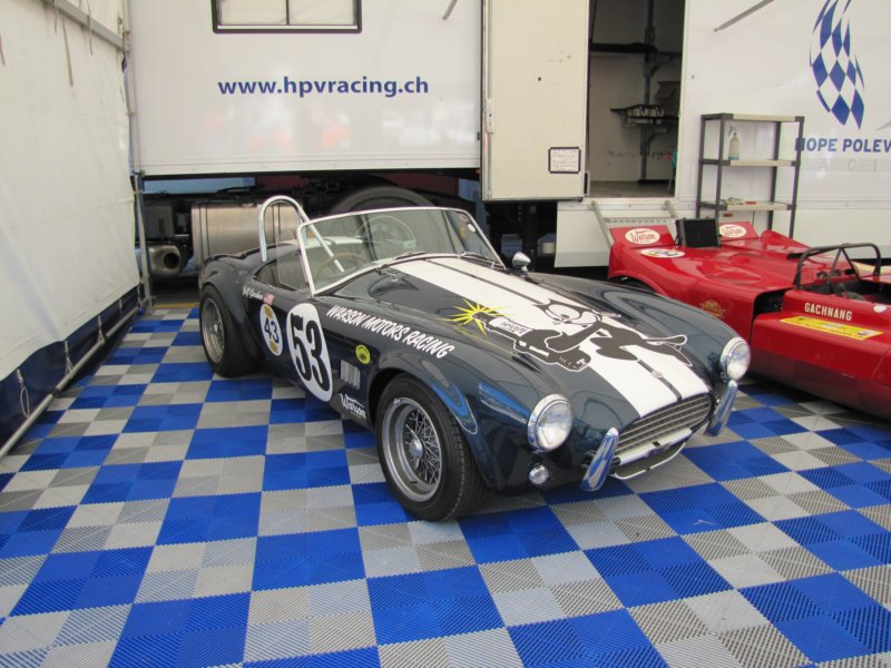 accobra2.jpg