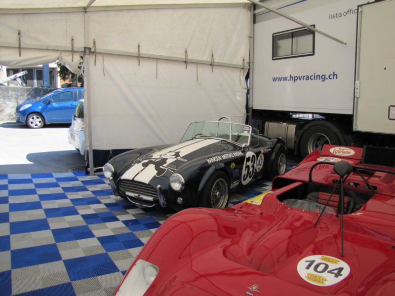accobra3.jpg
