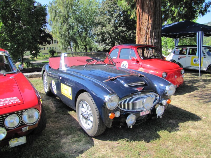 austinhealey3000mkiii2.jpg