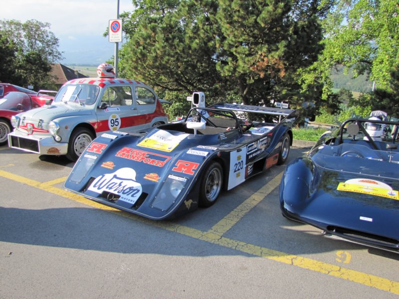 cheetahg601197711.jpg