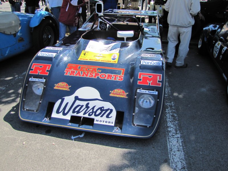 cheetahg60119776.jpg