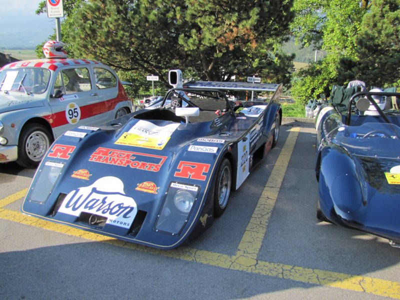 cheetahg60119779.jpg