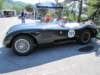 jaguarctype19523_small.jpg