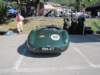 jaguarctype19535_small.jpg