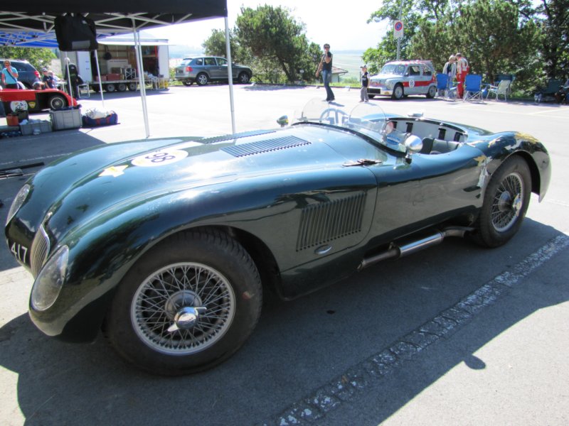 jaguarctype19536.jpg
