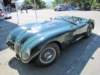 jaguarctype19537_small.jpg