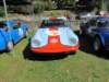 lotuselan19662_small.jpg