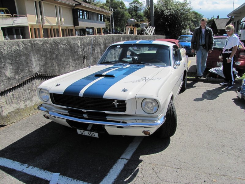 shelbygt35019662.jpg