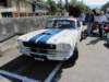 shelbygt35019662_small.jpg