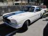 shelbygt3501966_small.jpg