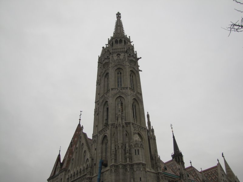img_3654.jpg