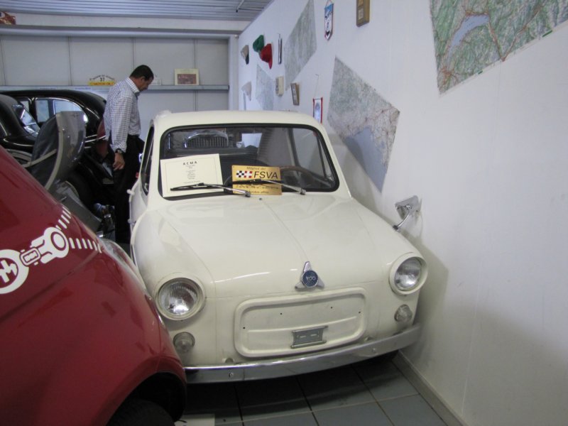 acmavespa4001961.jpg