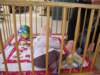 img_7711_small.jpg