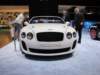 bentleycontinentalsupersportsconvertibleicespeedrecord4_small.jpg