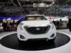 hyundaicurb22_small.jpg