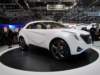 hyundaicurb41_small.jpg