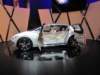 infinitietherea10_small.jpg