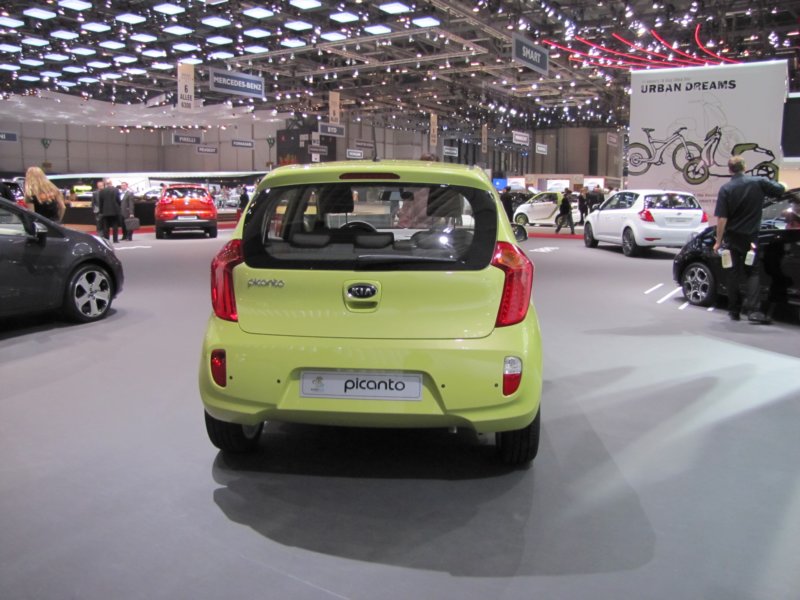 kiapicanto4.jpg