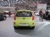 kiapicanto7_small.jpg