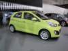 kiapicanto9_small.jpg
