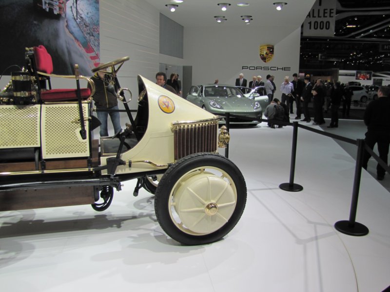 lohnerporschesempervivushybrid1900201113.jpg