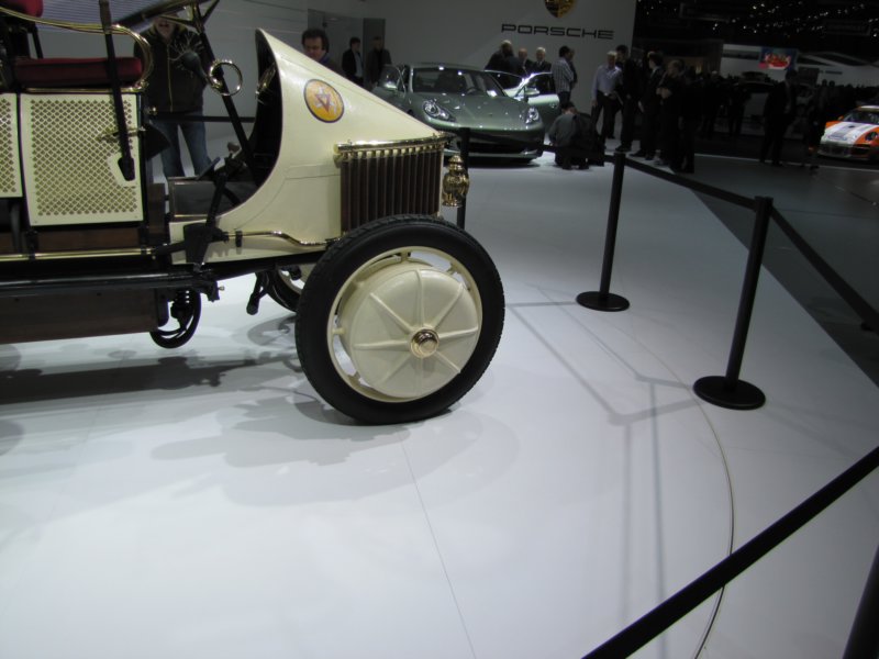 lohnerporschesempervivushybrid1900201114.jpg