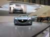 mazdashinari11_small.jpg