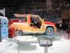 rinspeedbamboo26_small.jpg