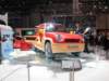 rinspeedbamboo36_small.jpg