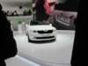 skodavisiond2_small.jpg