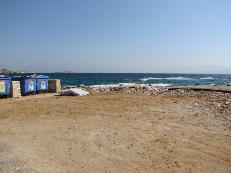 sep2011ampels14.jpg