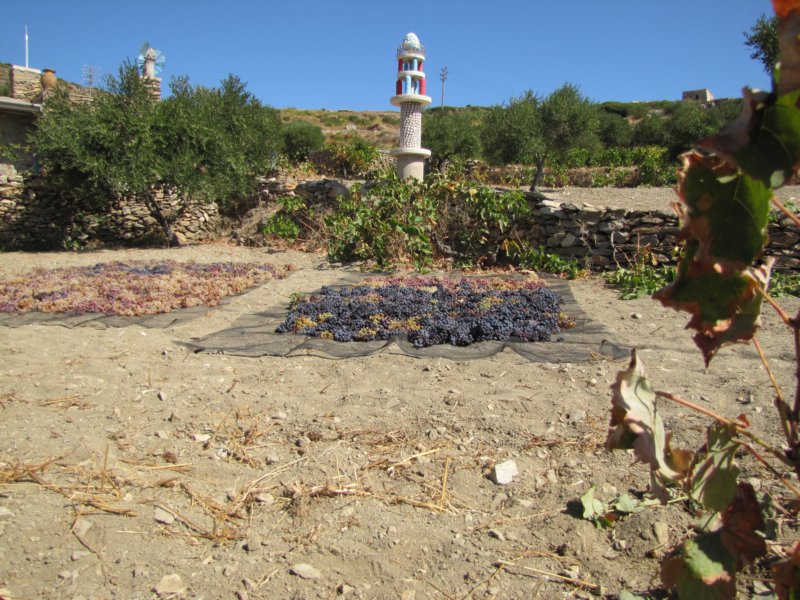 sep2011fromnaousatolefkes25.jpg