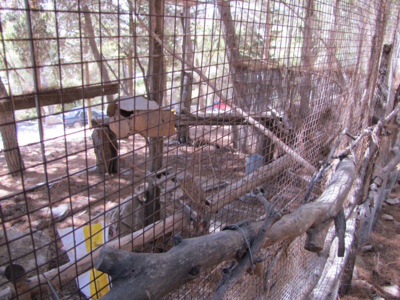 sep2011lefkes.jpg