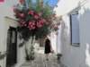 sep2011paroiki15_small.jpg