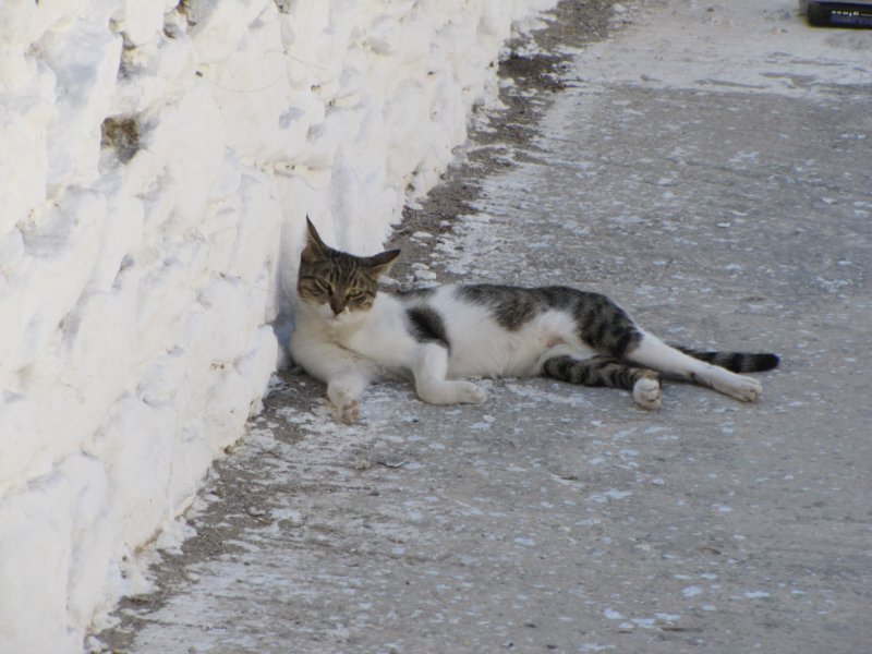 sep2011paroiki77.jpg