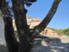 sep2011paroiki78_small.jpg