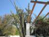 sep2011paroiki7_small.jpg