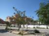 sep2011paroiki80_small.jpg