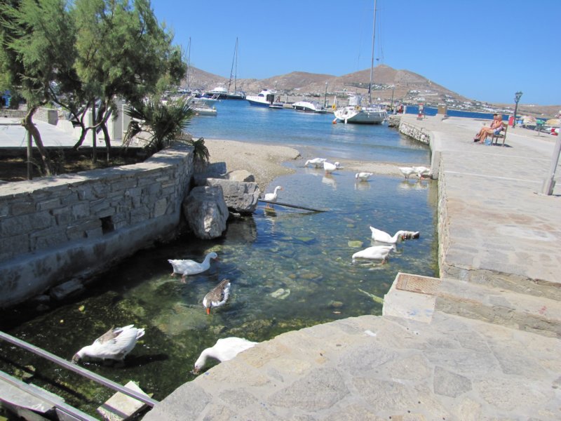 sep2011parosnaousa29.jpg